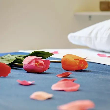 Pensionat Ad Hoc Rom